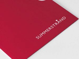 diseño de logotipo, branding