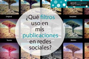 gestion de redes sociales