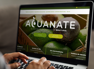ecommerce, tienda on line, diseño de tienda on line