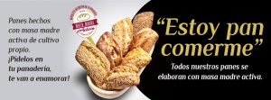 campaña de publicidad para horno la parra