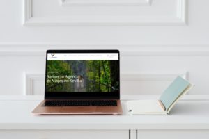diseño web