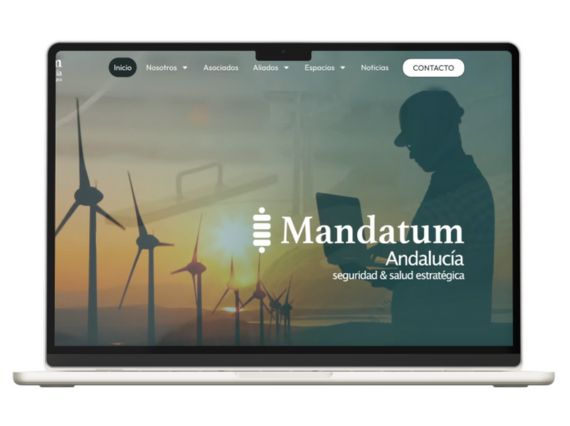 diseño web agencia de publicidad sevilla