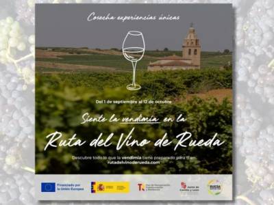 Campaña de publicidad online para la Ruta del Vino de Rueda: Vendimia 2025